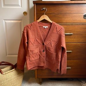 Beautiful Earth-toned Madewell Sweater